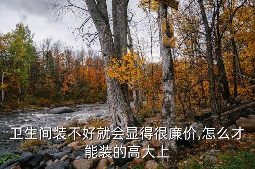 衛(wèi)生間裝不好就會(huì)顯得很廉價(jià),怎么才能裝的高大上