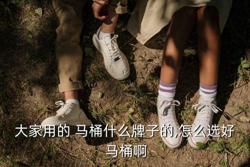 浪鯨衛(wèi)浴馬桶推薦品牌圖片