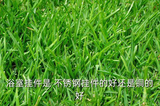 浴室掛件是 不銹鋼掛件的好還是銅的好