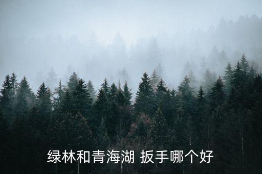 綠林和青海湖 扳手哪個(gè)好