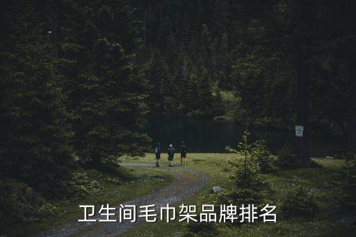 衛(wèi)生間毛巾架品牌排名