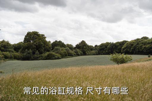 半墻衛(wèi)浴尺寸圖片高清圖