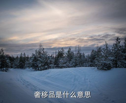奢移品是什么意思