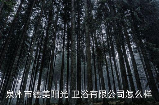 泉州市德美陽光 衛(wèi)浴有限公司怎么樣