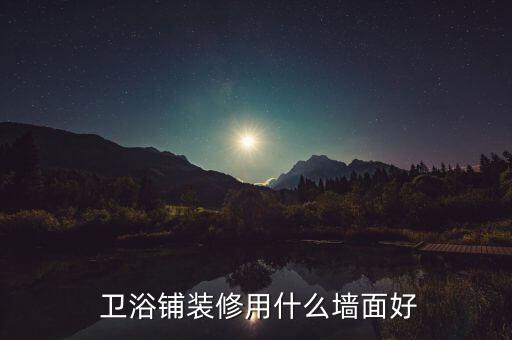  衛(wèi)浴鋪裝修用什么墻面好