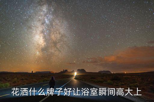 花灑什么牌子好讓浴室瞬間高大上