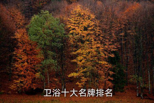 所有衛(wèi)浴品牌排行,衛(wèi)浴品牌排行榜前十名性價比高的