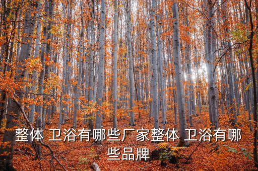整體 衛(wèi)浴有哪些廠家整體 衛(wèi)浴有哪些品牌