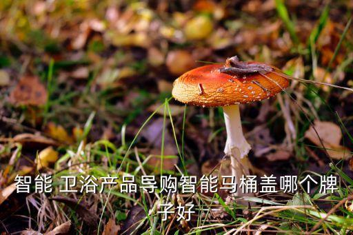 衛(wèi)浴藍(lán)牙推薦哪個(gè)品牌好用