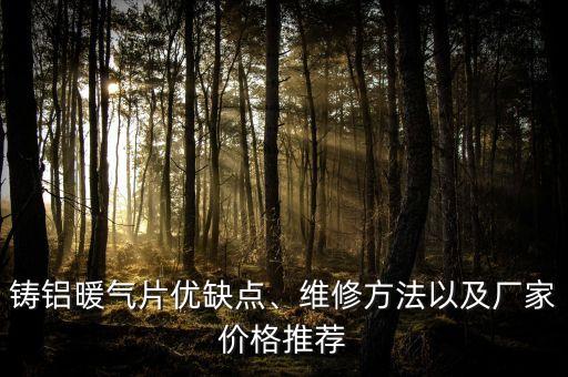 鑄鋁暖氣片優(yōu)缺點(diǎn)、維修方法以及廠家價(jià)格推薦