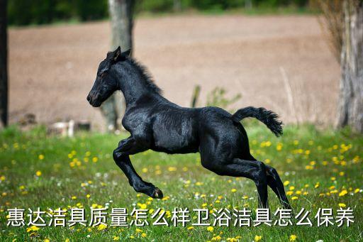 惠達衛(wèi)浴品牌現(xiàn)狀