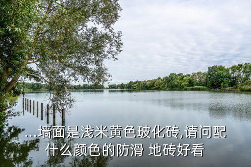 ...墻面是淺米黃色玻化磚,請(qǐng)問(wèn)配什么顏色的防滑 地磚好看