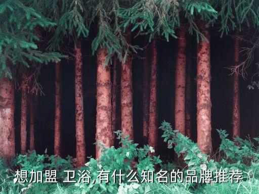 想加盟 衛(wèi)浴,有什么知名的品牌推薦
