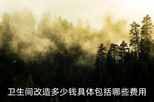 衛(wèi)生間改造多少錢具體包括哪些費(fèi)用