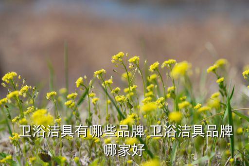 衛(wèi)浴潔具有哪些品牌 衛(wèi)浴潔具品牌哪家好