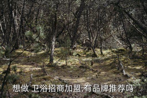 連鎖加盟衛(wèi)浴品牌有哪些,衛(wèi)浴店連鎖加盟