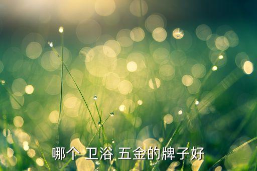 哪個 衛(wèi)浴 五金的牌子好