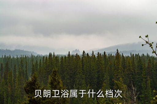 貝朗衛(wèi)浴屬于什么檔次