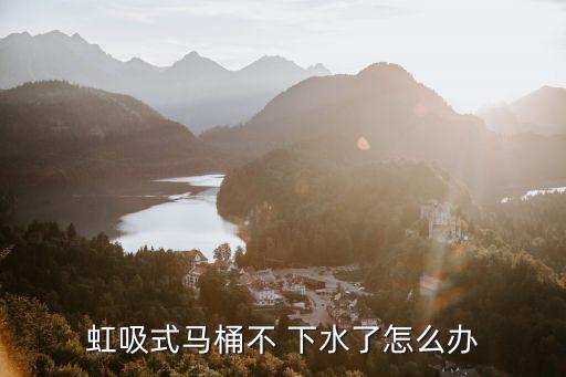 虹吸式馬桶不 下水了怎么辦