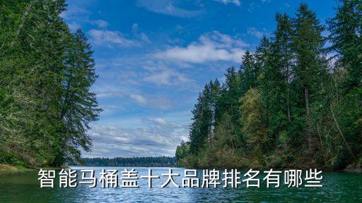 智能馬桶蓋十大品牌排名有哪些