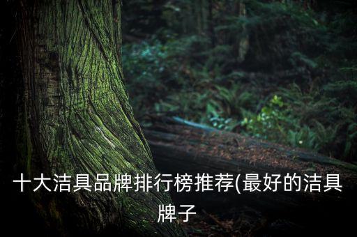 十大潔具品牌排行榜推薦(最好的潔具牌子