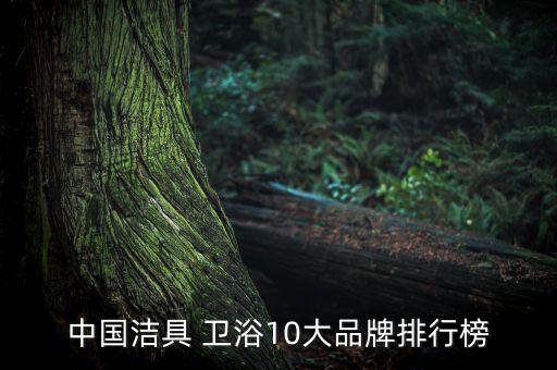 中國(guó)潔具 衛(wèi)浴10大品牌排行榜