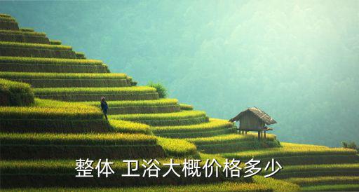 整體 衛(wèi)浴大概價格多少