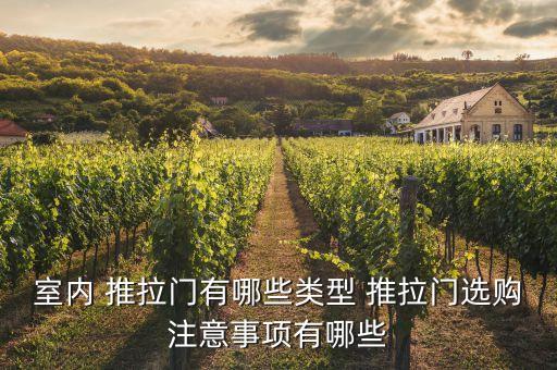 室內(nèi) 推拉門有哪些類型 推拉門選購(gòu)注意事項(xiàng)有哪些