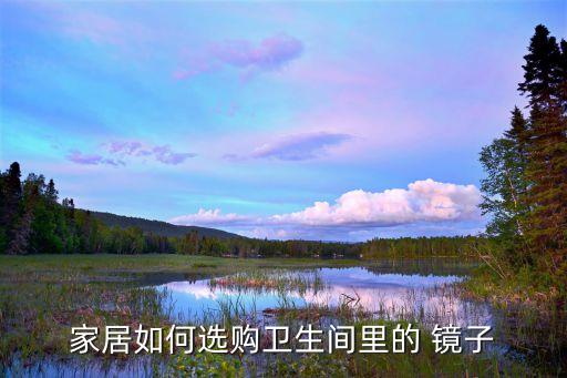 復(fù)古衛(wèi)浴大鏡子圖片大全,歐式復(fù)古鏡子圖片