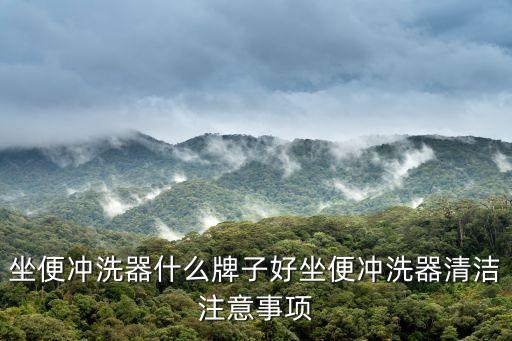 坐便沖洗器什么牌子好坐便沖洗器清潔注意事項