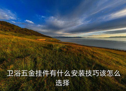  衛(wèi)浴五金掛件有什么安裝技巧該怎么選擇