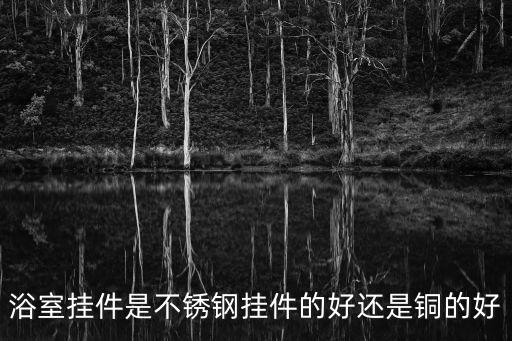 浴室掛件是不銹鋼掛件的好還是銅的好