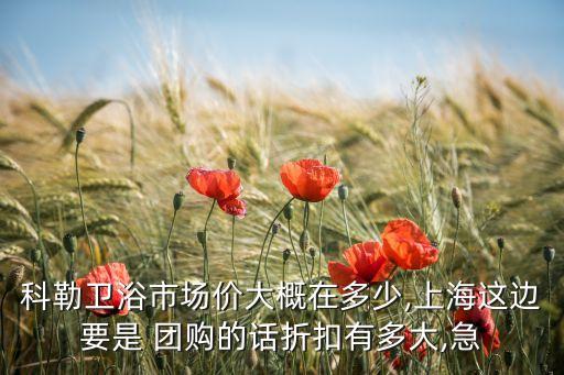 科勒衛(wèi)浴市場價(jià)大概在多少,上海這邊要是 團(tuán)購的話折扣有多大,急