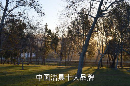 中國潔具十大品牌