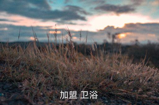 加盟 衛(wèi)浴