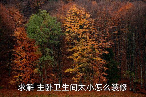 求解 主臥衛(wèi)生間太小怎么裝修