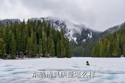  東鵬潔具質(zhì)量怎么樣