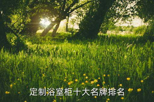 定制浴室柜十大名牌排名