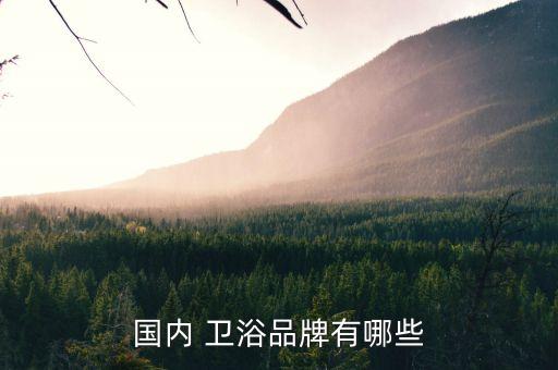 國(guó)內(nèi) 衛(wèi)浴品牌有哪些