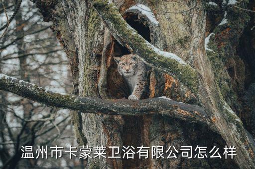 溫州進(jìn)口國際衛(wèi)浴店電話,溫州鴻聯(lián)國際衛(wèi)浴