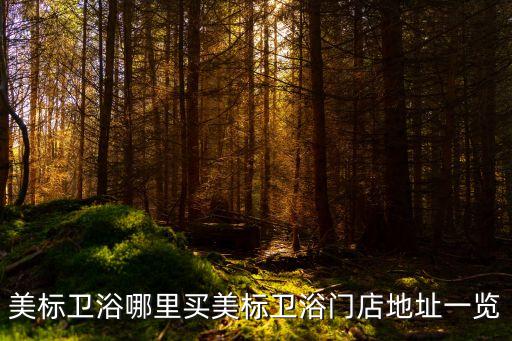 美標(biāo)衛(wèi)浴哪里買美標(biāo)衛(wèi)浴門店地址一覽