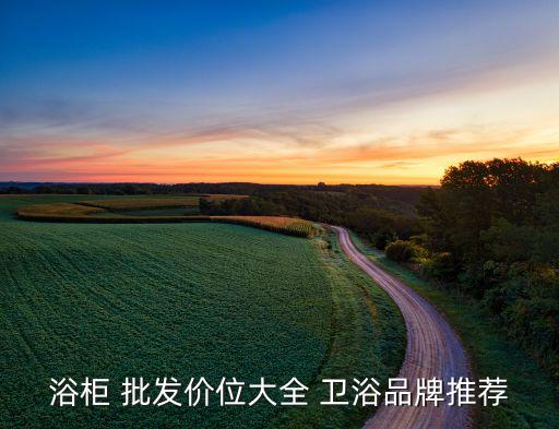 浴柜 批發(fā)價位大全 衛(wèi)浴品牌推薦