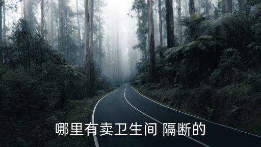 高級(jí)衛(wèi)浴隔斷效果圖片欣賞