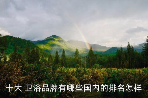 十大 衛(wèi)浴品牌有哪些國(guó)內(nèi)的排名怎樣