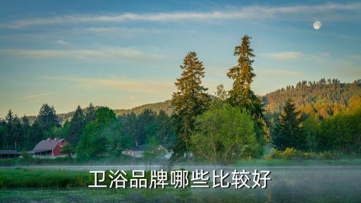 平價(jià)衛(wèi)浴店推薦的品牌有,比較平價(jià)實(shí)用的衛(wèi)浴品牌