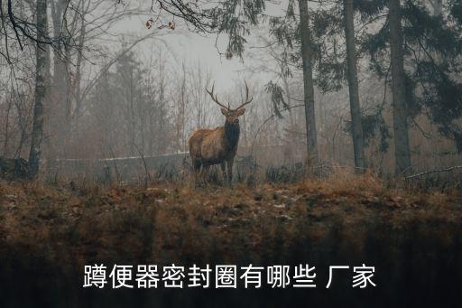 桂林專(zhuān)業(yè)衛(wèi)浴配件廠家電話(huà)