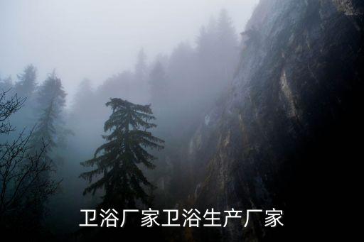 衛(wèi)浴廠家衛(wèi)浴生產(chǎn)廠家