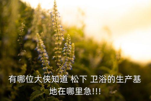 有哪位大俠知道 松下 衛(wèi)浴的生產(chǎn)基地在哪里急!!!
