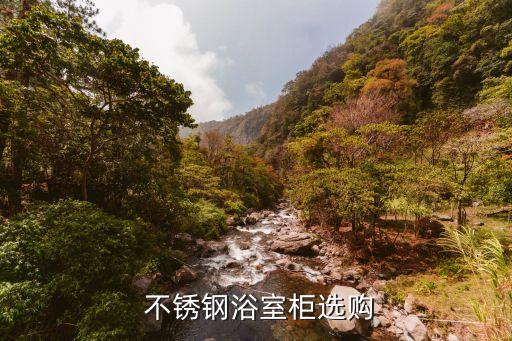304不銹鋼衛(wèi)浴有品牌嗎
