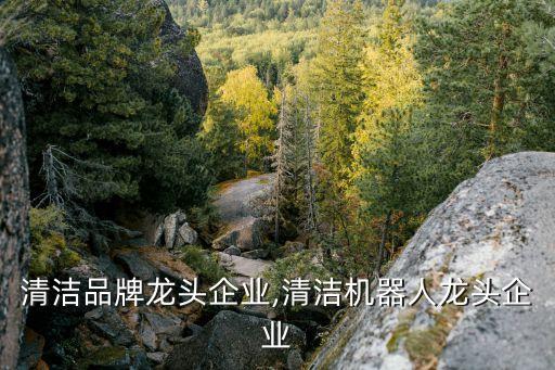 衛(wèi)浴清潔品牌龍頭企業(yè),清潔機器人龍頭企業(yè)